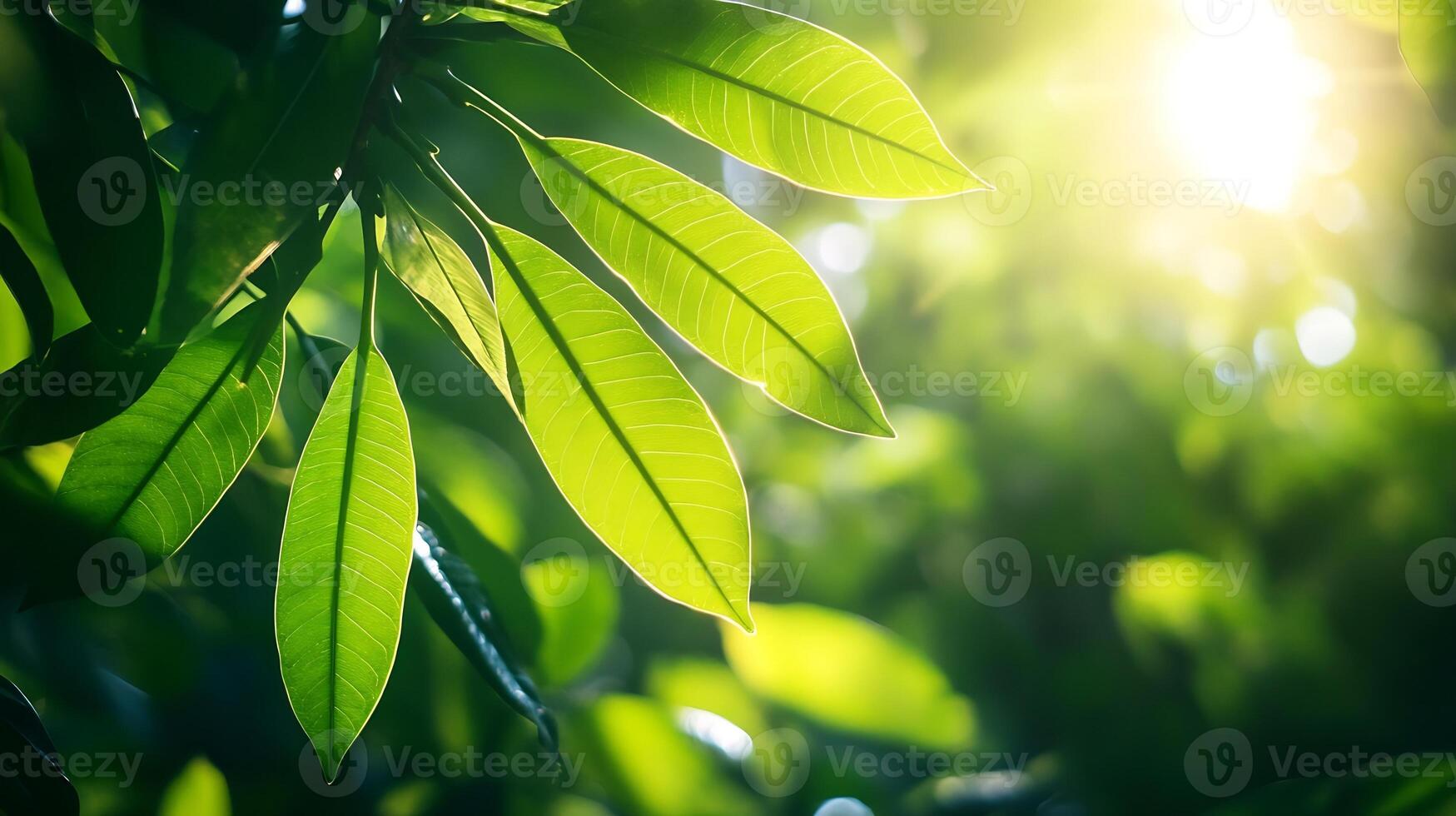 Sunlit Green Leaves in a Lush Forest Creating a Vibrant and Tranquil Nature Scene photo