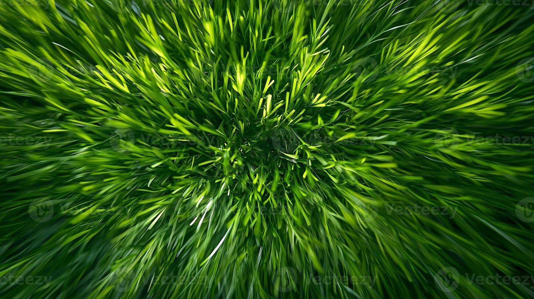 Vibrant Motion Blur of Green Grass Creating Dynamic Texture Effect photo