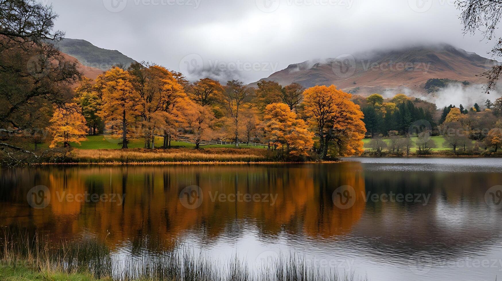 Idyllic Autumn Scene With Reflection Of Orange Trees In Lake photo