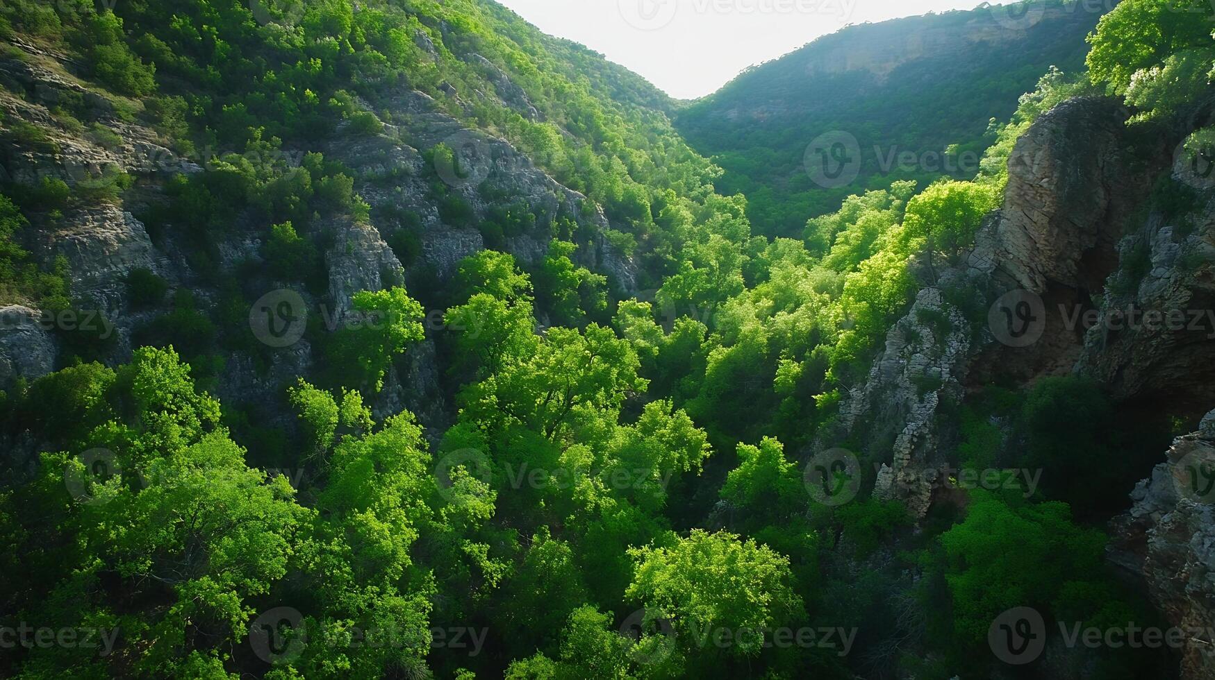 Majestic Green Canyon Landscape with Sunlit Cliffs and Dense Forest Trees in Serene Environment photo