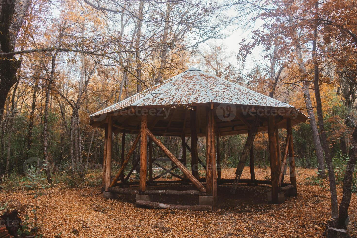 Wooden structure in the woods in an autumn mood photo