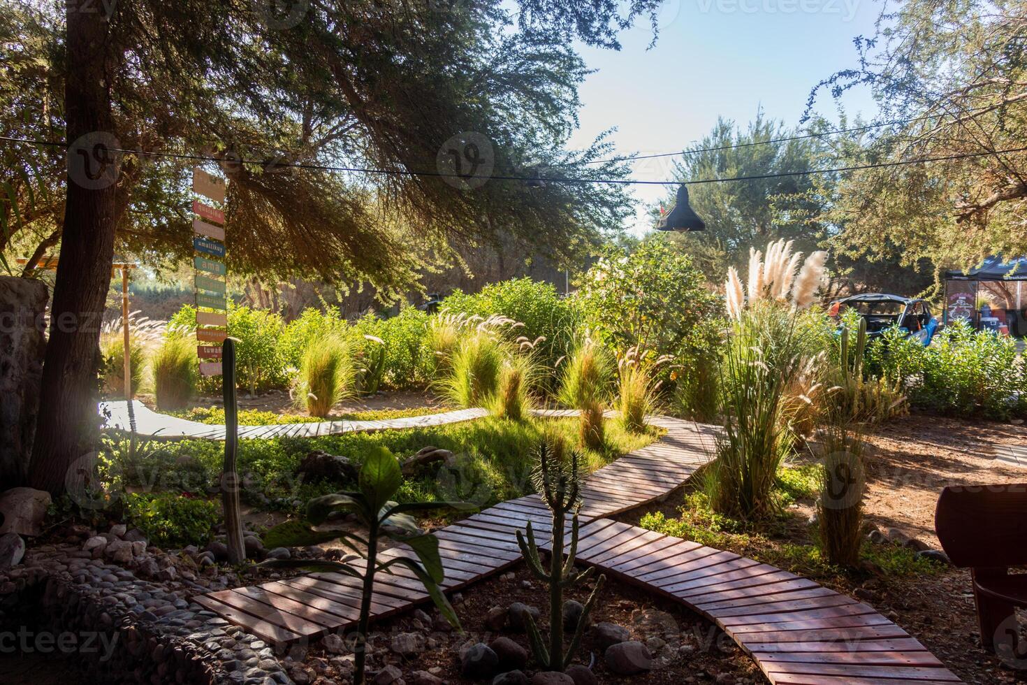 a wooden pathway in a garden with a bench and a tree photo