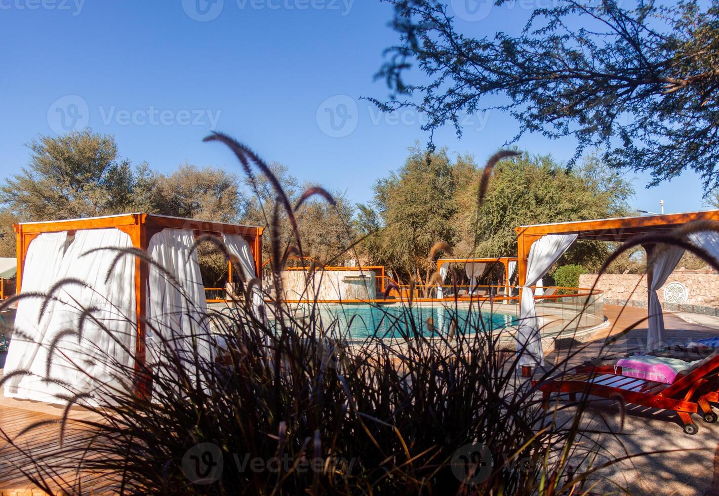 a pool with a canopy photo