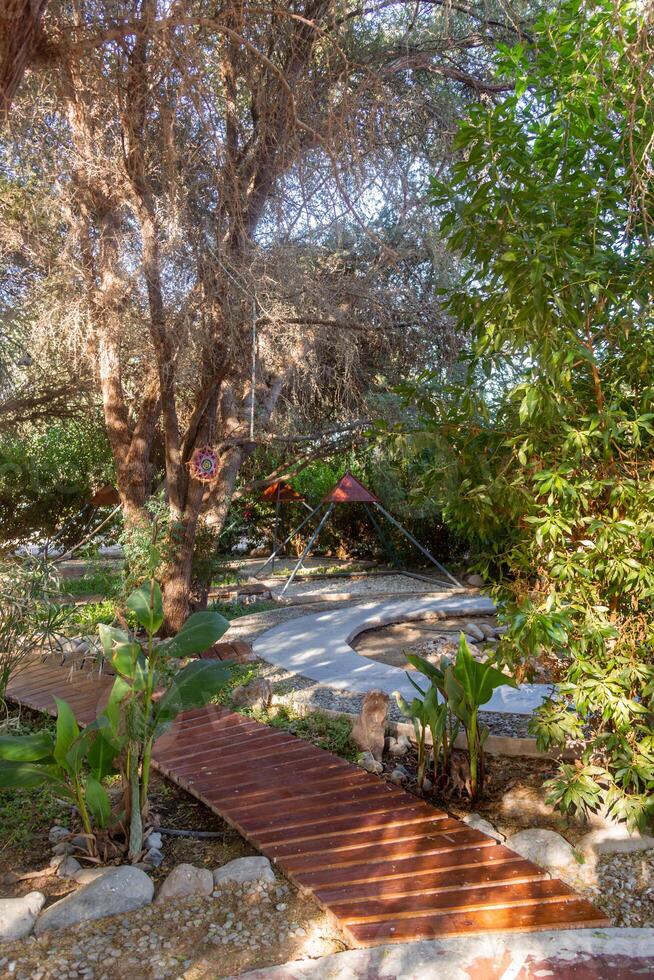 Yoga space with a beautiful area with plants, trees and flowers photo