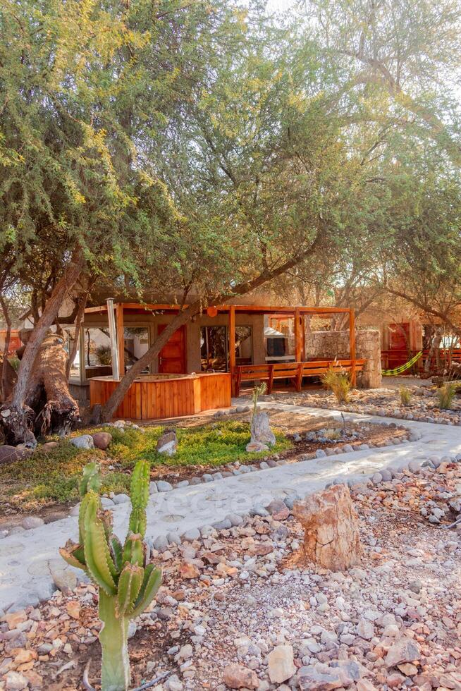 a small house with a cactus in the front yard photo