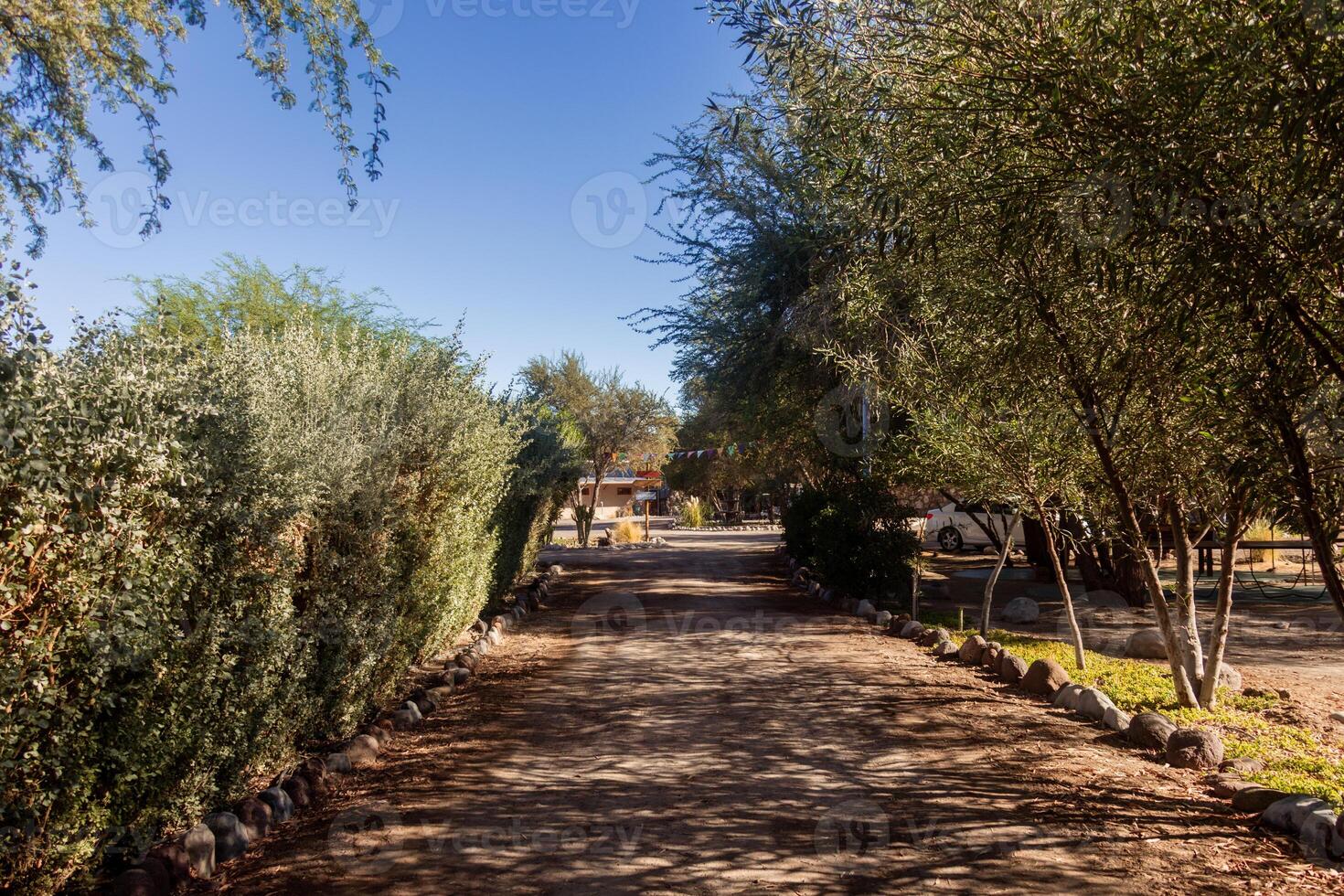 a dirt road photo