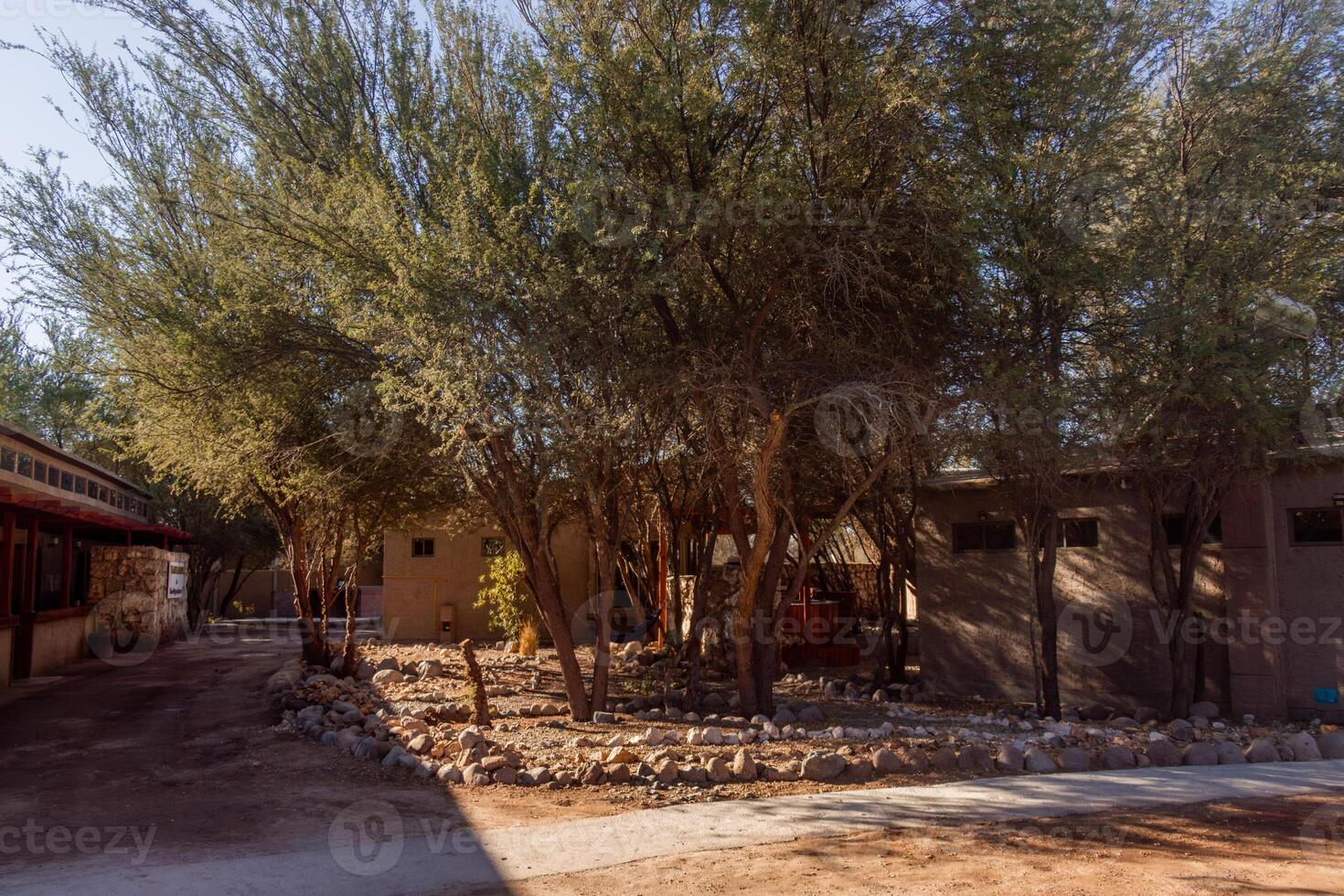 Outdoor area of hotel in the Atacama Desert photo