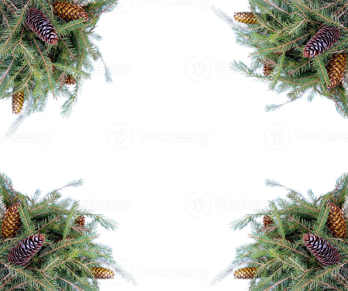Christmas composition with fir tree branches and cones on white background. New Year festive design template. Symmetrical banner. photo