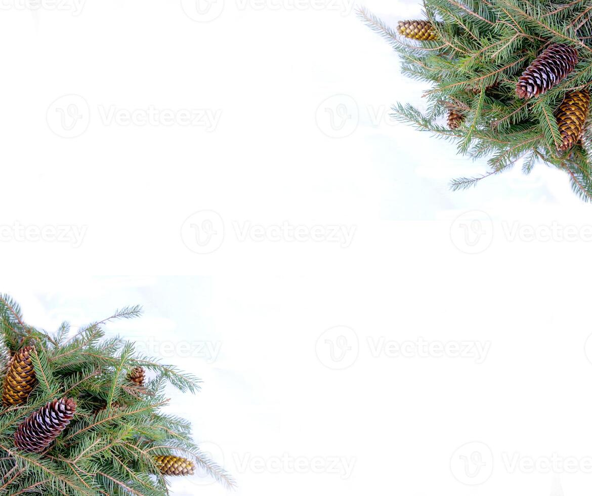 Christmas composition with fir tree branches and cones on white background. New Year festive design template. photo