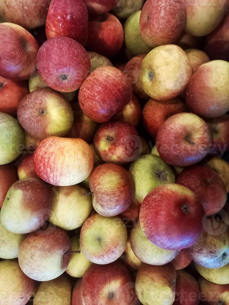 A pile of fresh apples with a blend of red and green skin color gradations photo