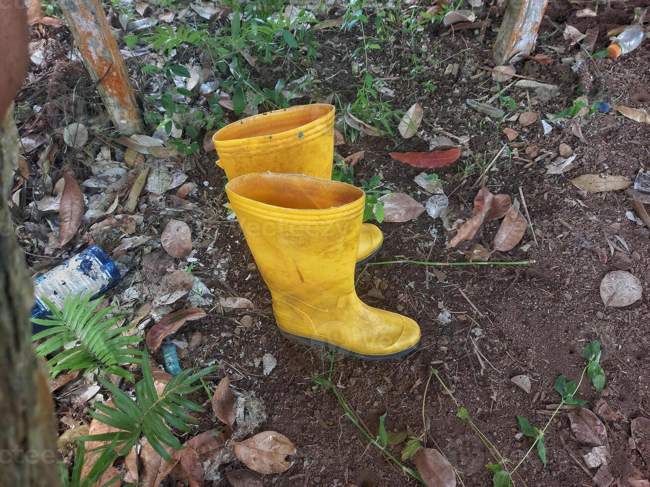Yellow rubber boots, boots that are placed on the ground photo