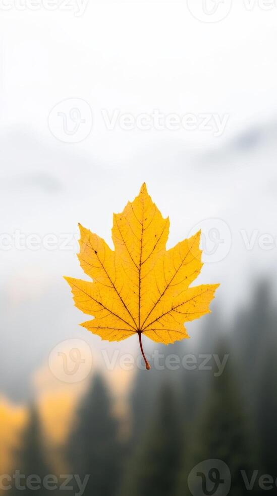 Golden maple leaf suspended in the air against a misty forest backdrop during autumn season photo