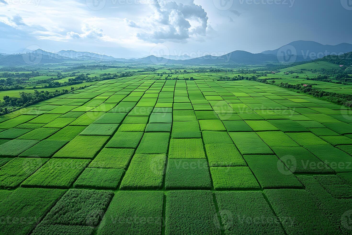Aerial View of Lush Green Agricultural Fields with Mountain Backdrop at Dusk photo