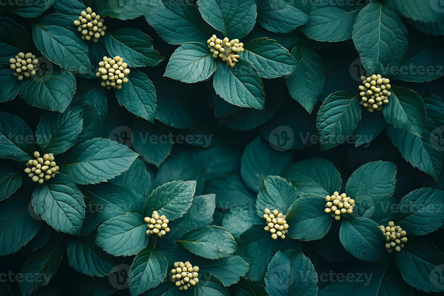 Lush Green Foliage with Clusters of Yellow Berries - Nature Texture for Design photo