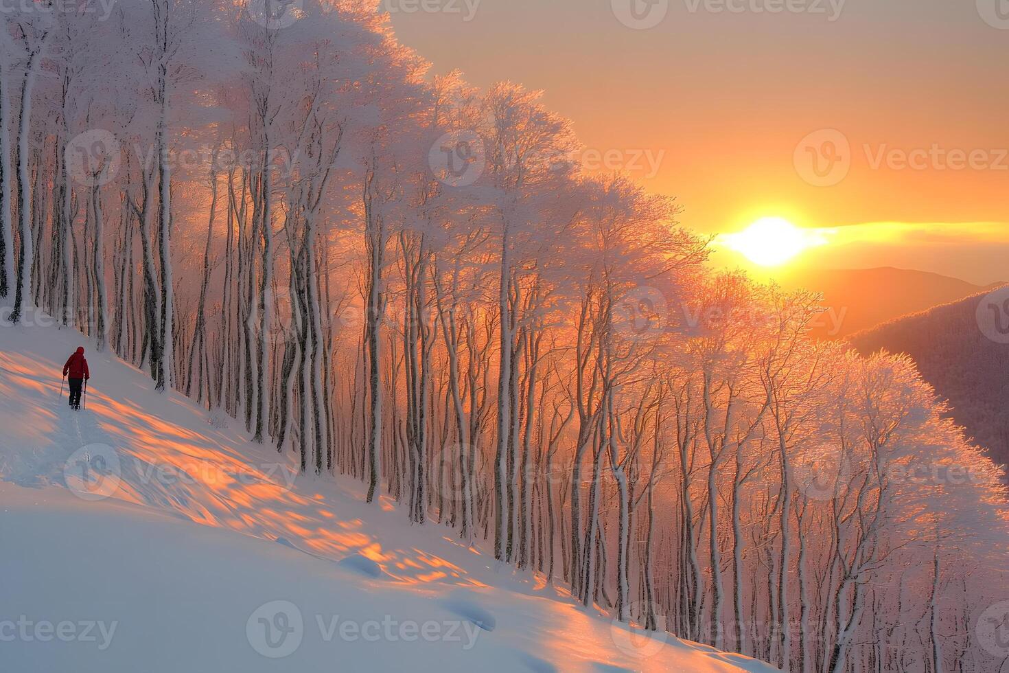 Winter Sunrise Adventure in Snowy Forest Landscape Featuring Solitary Hiker photo