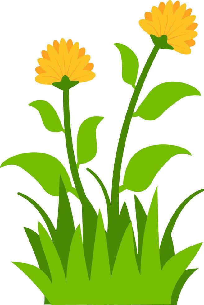 floral illustration featuring two yellow blossoms, green leaves, and grass, great for nature-inspired decorative projects. vector