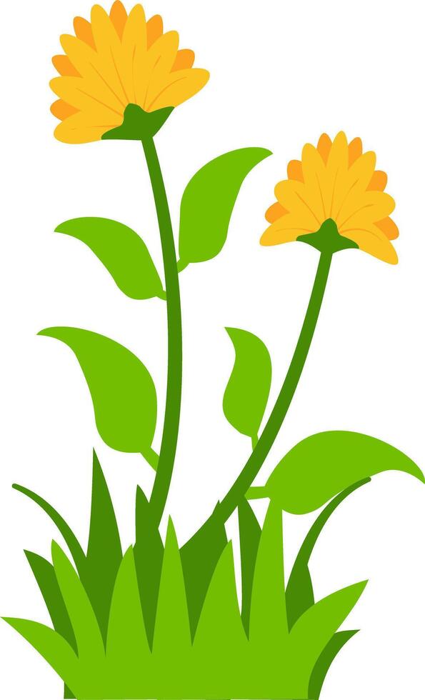Charming floral yellow blossoms, green leaves, and grass, great for nature-inspired decorative projects. vector