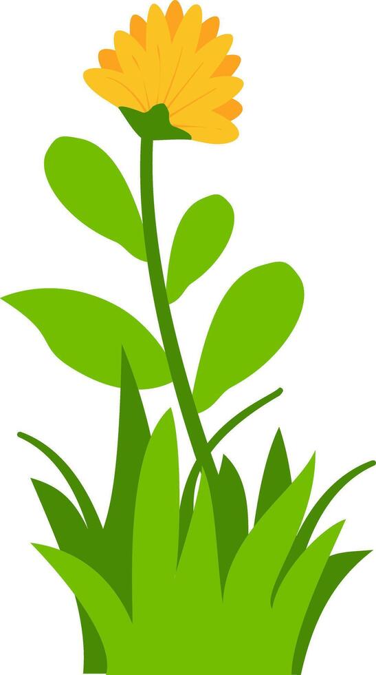 illustration of yellow flower with green leaves and grass, perfect for nature, spring, and floral design projects. Ideal for clipart, decorative art, and botanical themes. vector