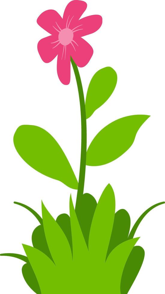 Charming floral featuring pink blossoms, green leaves, and grass, great for nature-inspired decorative projects. vector