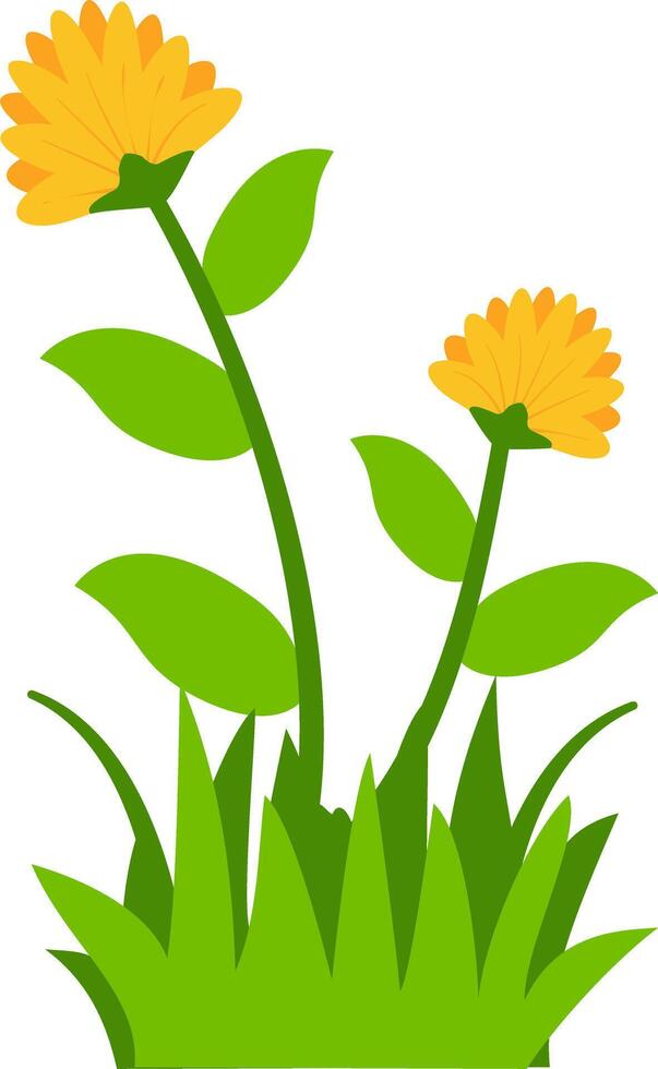 blooming yellow flowers with green leaves and grass, perfect for nature, spring, and floral design projects. Ideal for clipart, decorative art, and botanical themes. vector