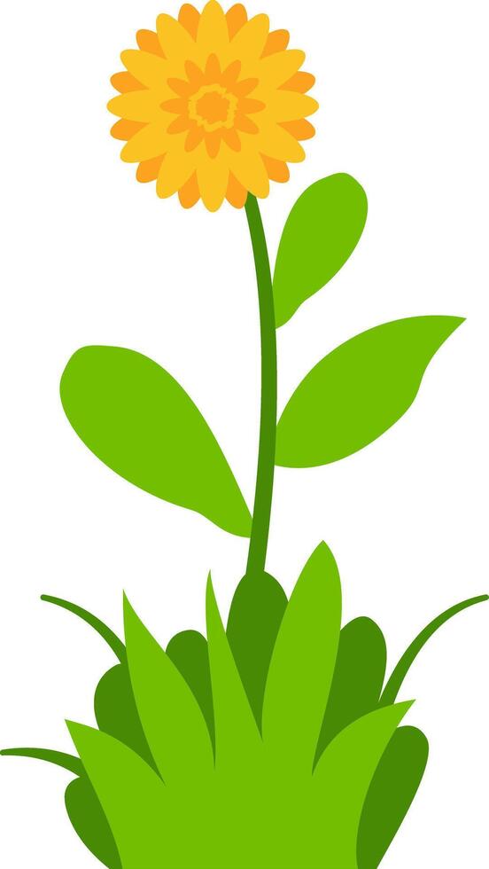 Charming floral illustration featuring yellow blossoms, green leaves, and grass, great for nature-inspired decorative projects. vector