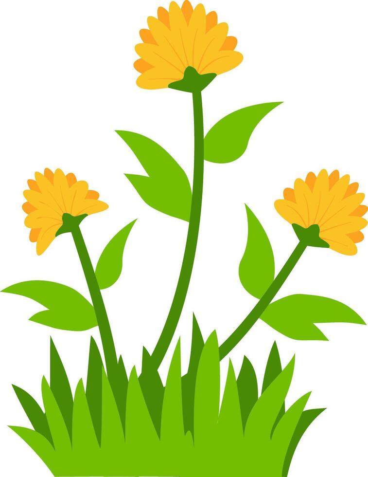 illustration of three yellow flowers with green leaves and grass, perfect for nature, spring, and floral design projects. Ideal for clipart, decorative art, and botanical themes. vector