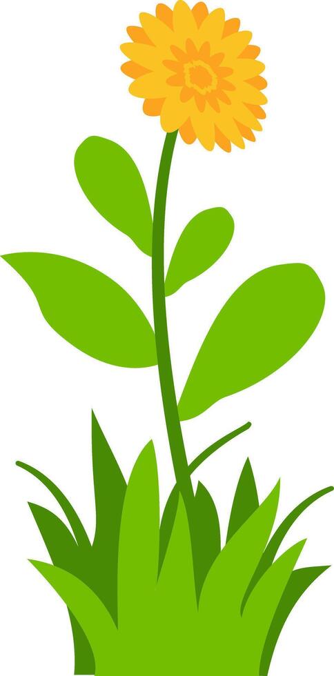 illustration of yellow flowers with green leaves and grass, perfect for nature, spring, and floral design projects. Ideal for clipart, decorative art, and botanical themes. vector