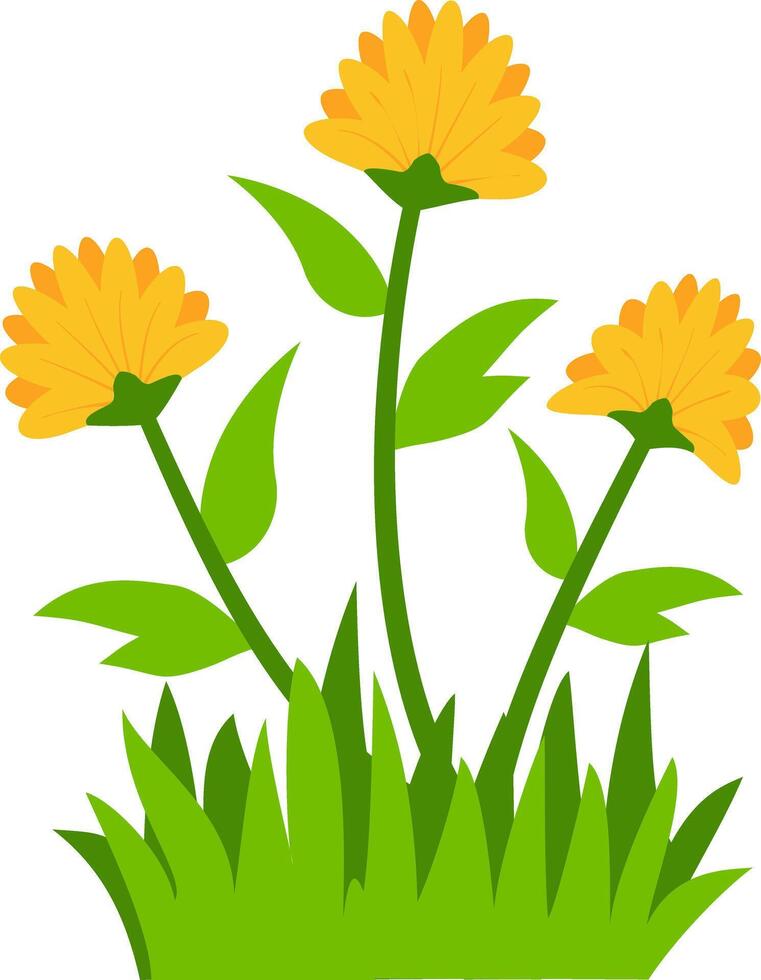 A vibrant depiction of three yellow flowers with fresh green leaves and grass, suitable for spring, garden, or floral design projects. vector