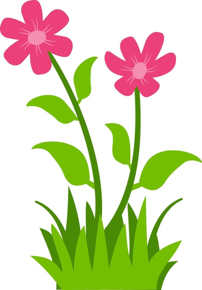 illustration of two blooming pink flowers with green leaves and grass, perfect for nature, spring, and floral design projects. Ideal for clipart, decorative art, and botanical themes. vector