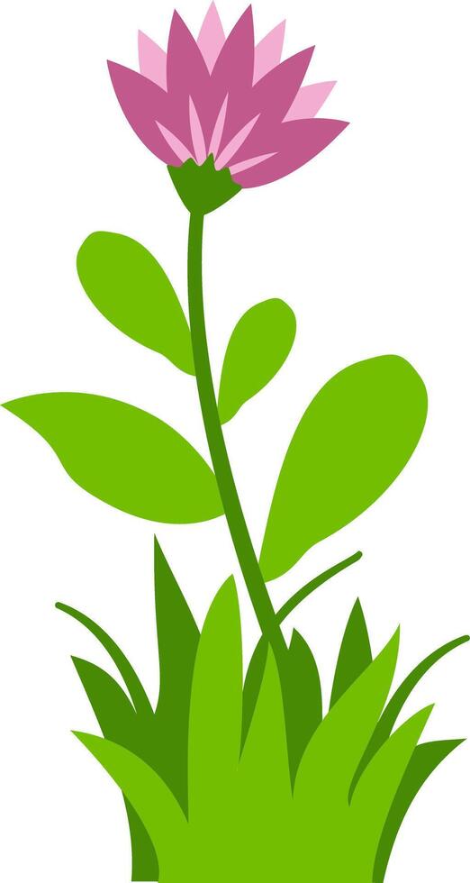 A vibrant of purple flowers with fresh green leaves and grass, suitable for spring, garden, or floral design projects. vector