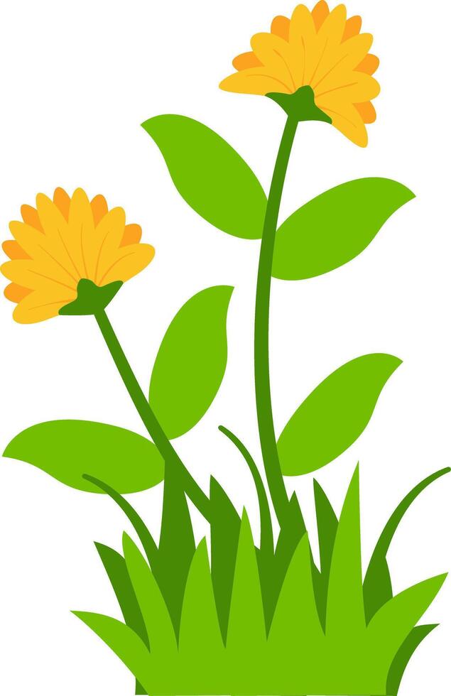 A vibrant depiction of two yellow flowers with fresh green leaves and grass, suitable for spring, garden, or floral design projects. vector
