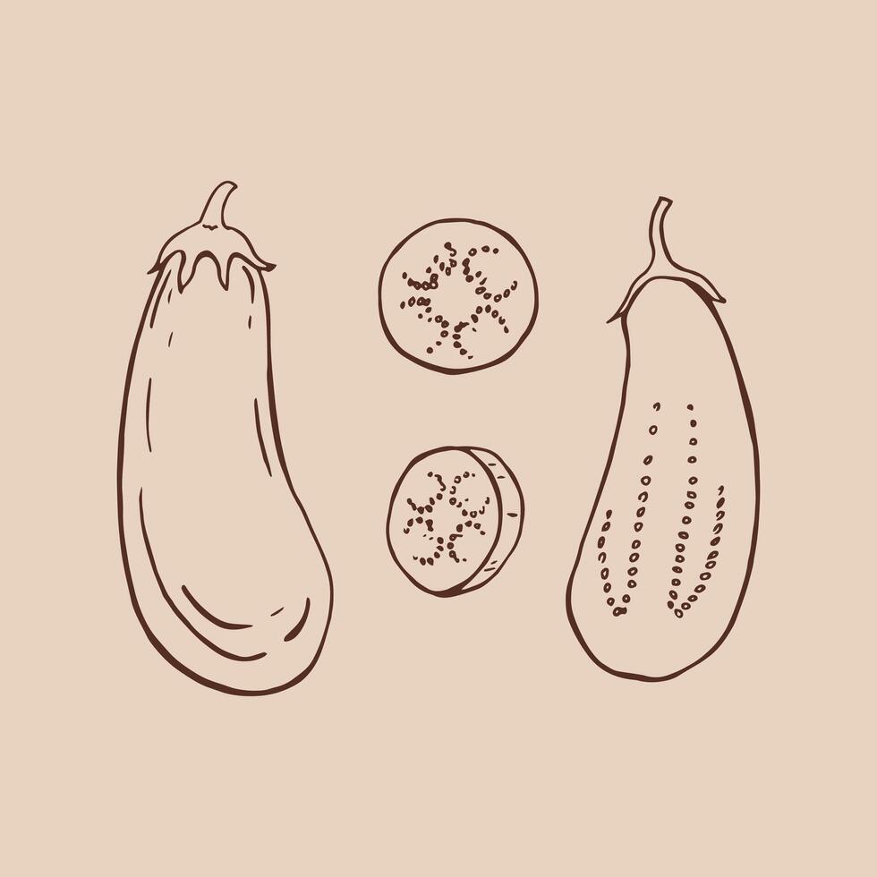Set of eggplant. Hand drawn. vector