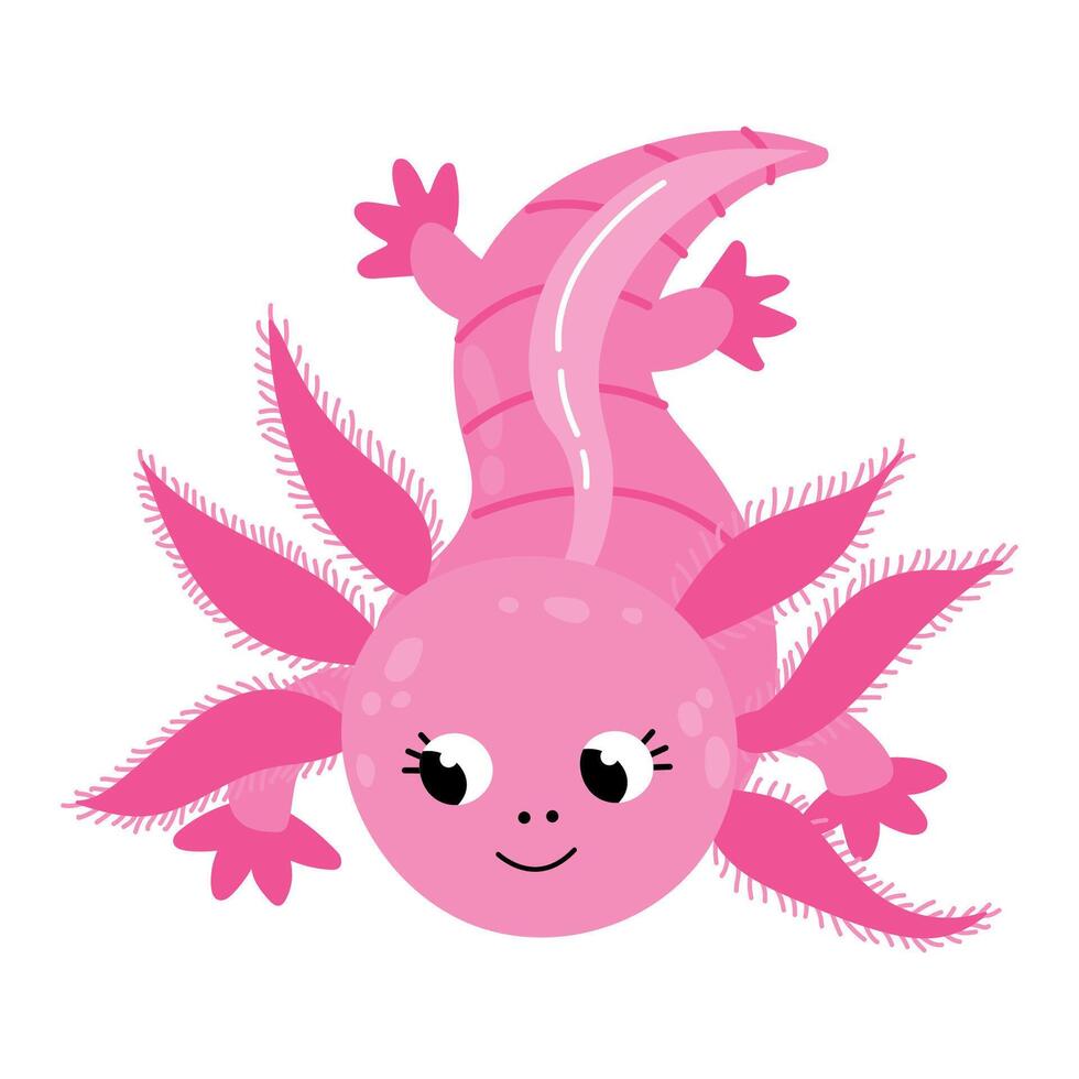 Cartoon Axolotl Character vector