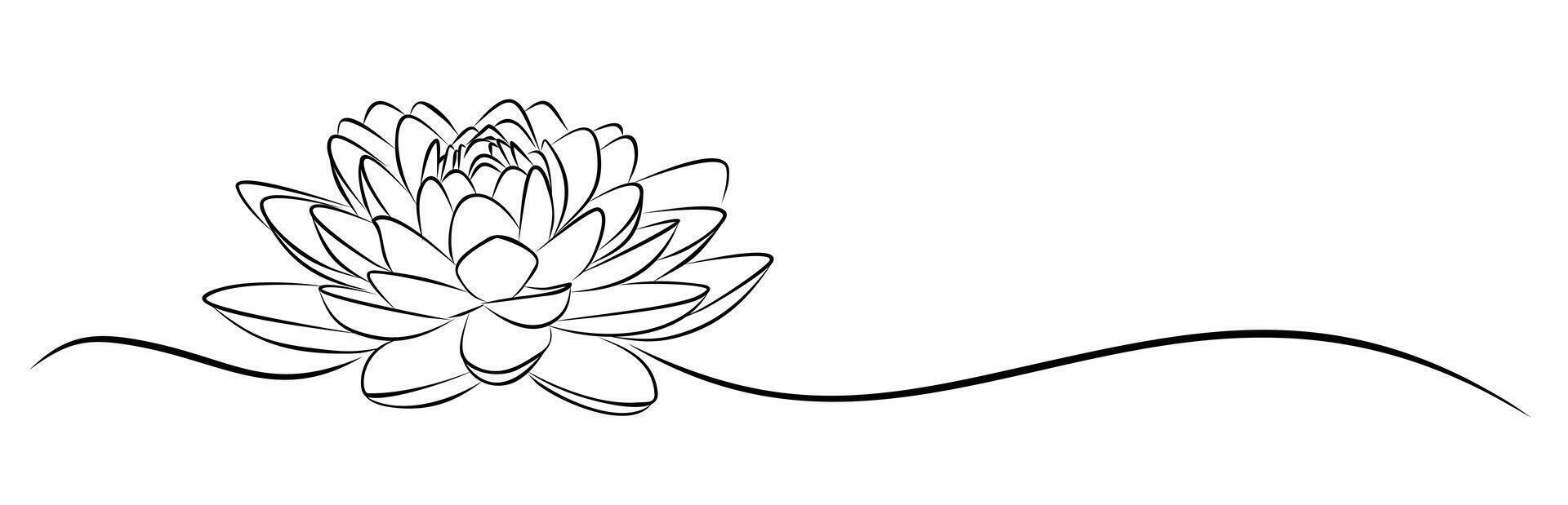 A sketch of the blossoming stylized lotus. vector