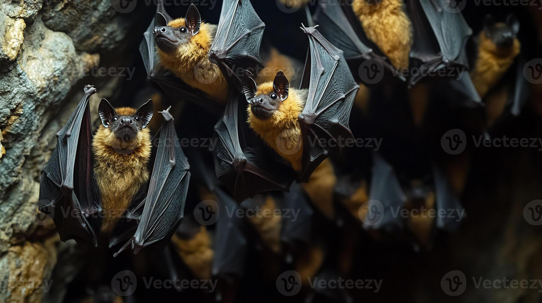 Fruit Bats Pteropus vampyrus phylum Chordata class Mammalia order Chiroptera family Pteropodidae hanging a cave ceiling their silhouettes glowing under faint light beams photo