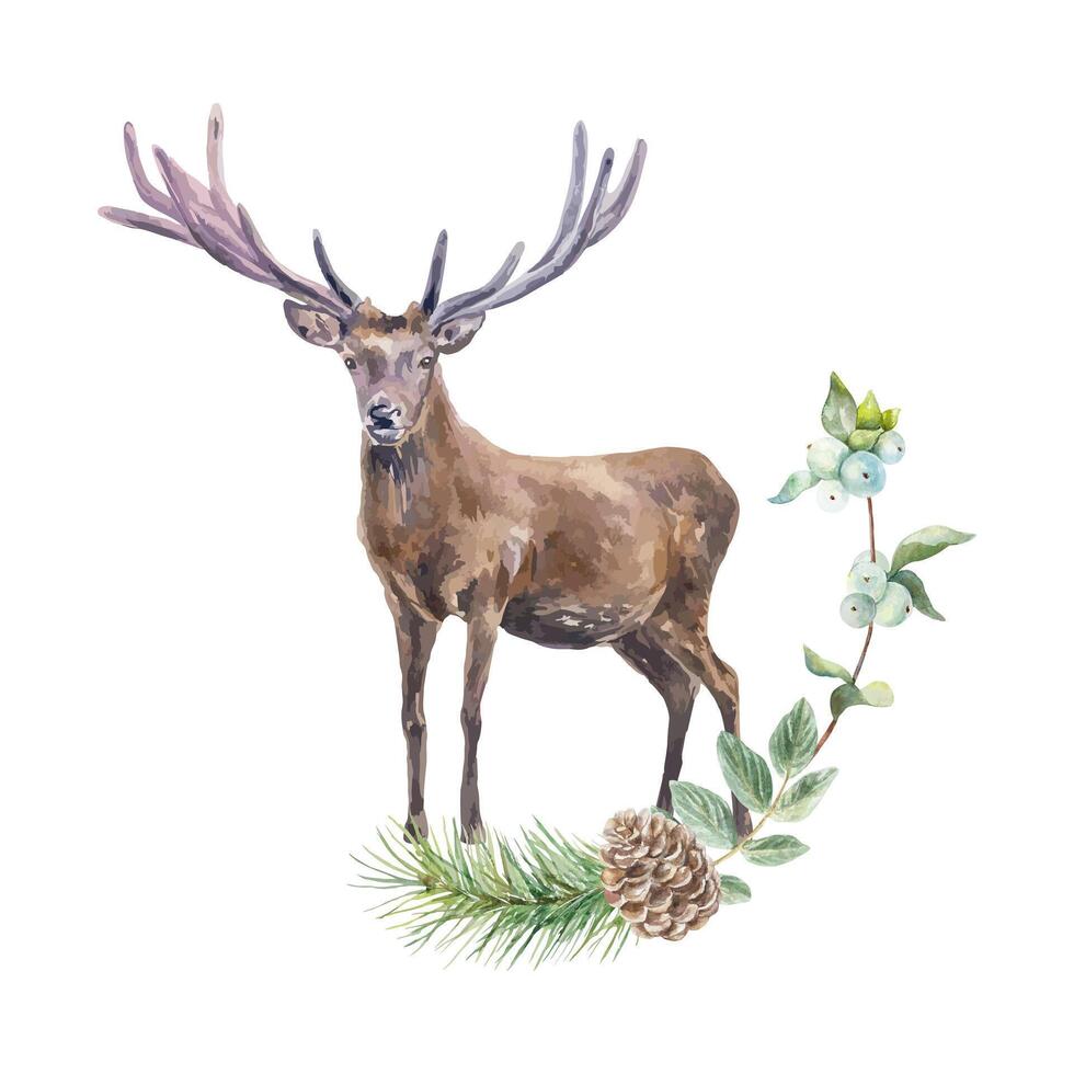 Deer with big antlers watercolor. Spruce branch with cone and twig with leaves. Hand drawn illustration. For cards, invitations, posters, banners, wildlife protection day. vector