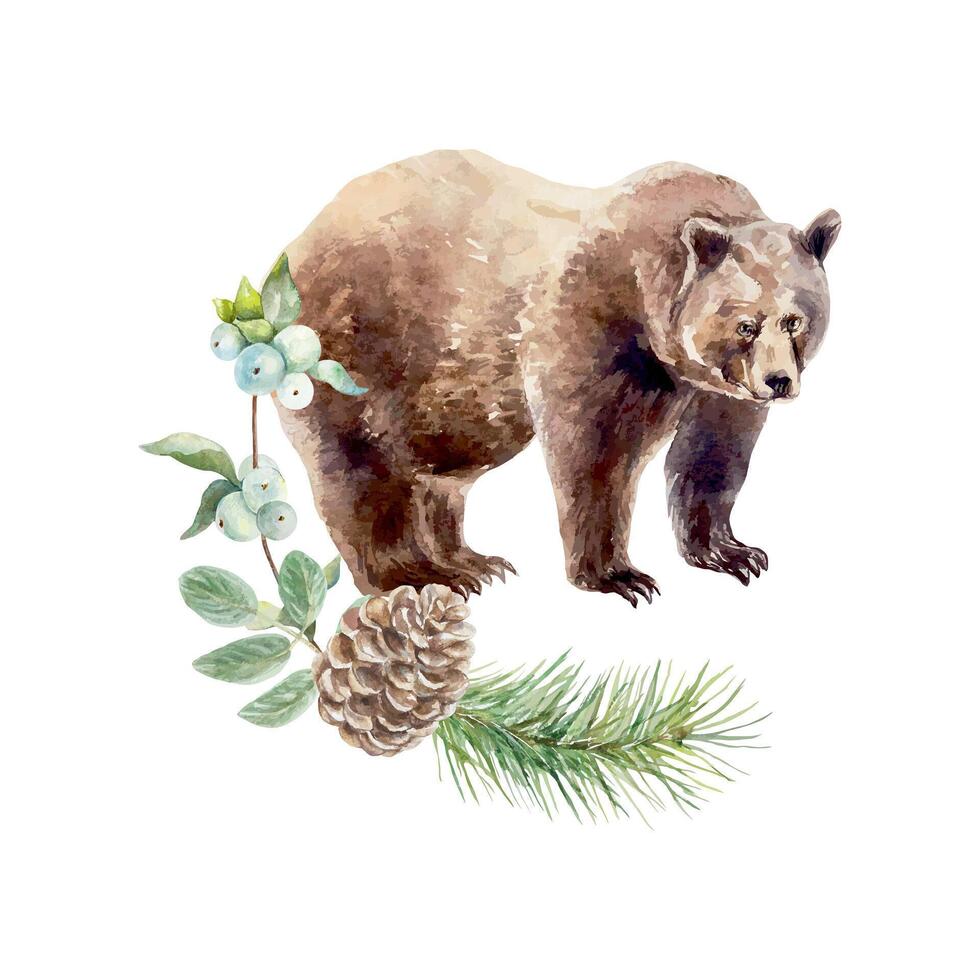 Brown bear watercolor. Fir branch, cone, berry sprig. Hand drawn illustration of forest animal. For cards, invitations, posters, banners, wildlife protection day. vector