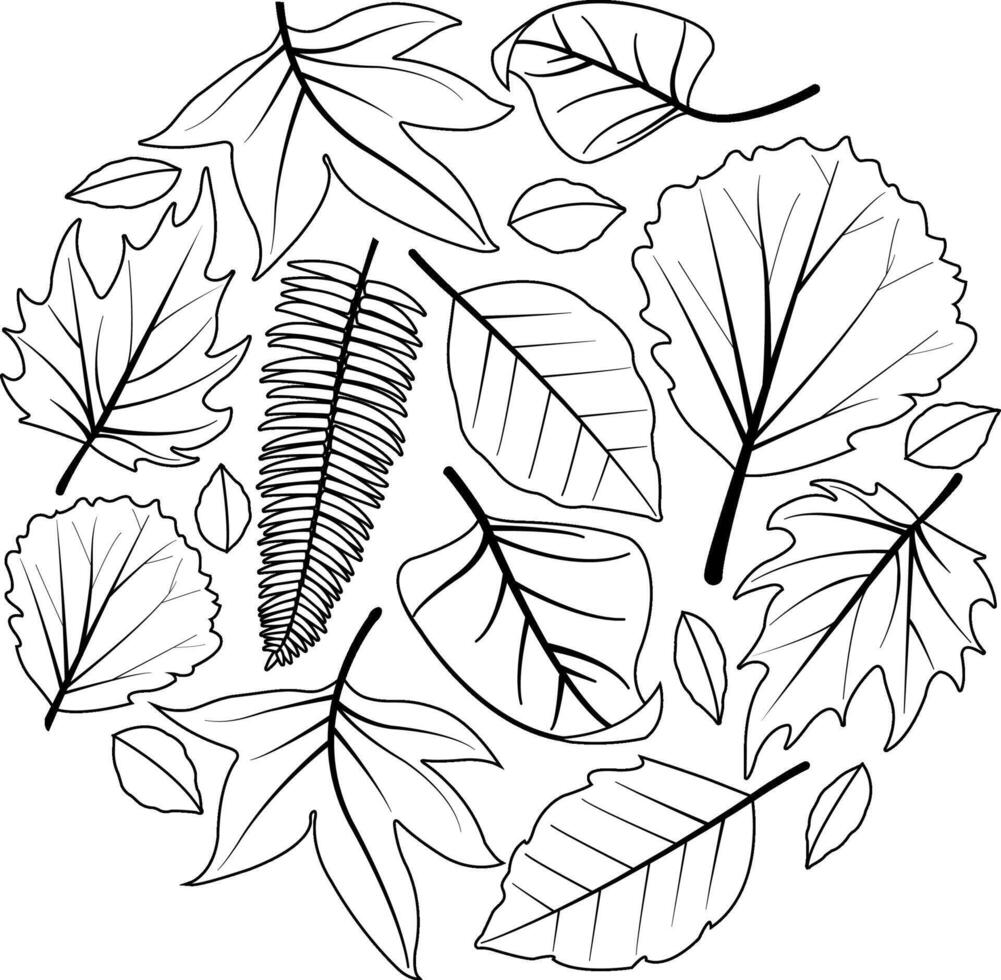 A collection of different dry autumn leaves. Tree leaves in autumn. Plant leaves in fall. Black and white coloring page. vector