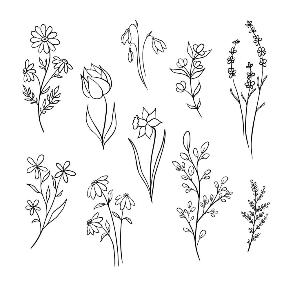 Set of doodle flowers and branches. Hand drawn illustration in monochrome black and white colors. Floral collection with plants. Outline floral element for icon. vector