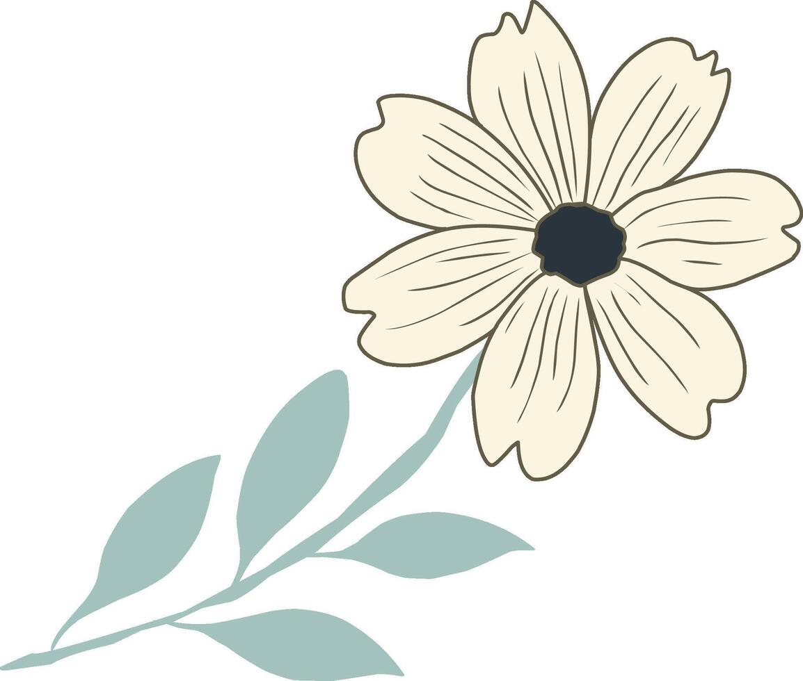 Simple White Cosmos Flower for Graphic Design vector