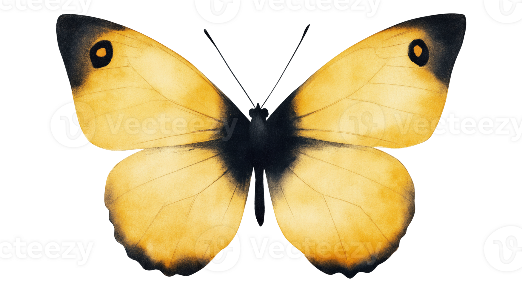 Graceful butterfly with soft yellow wings transparent image. Wing details isolated cutout. Symmetrical pattern. Pollinator bug. Elegant insect cut out clipart design element png