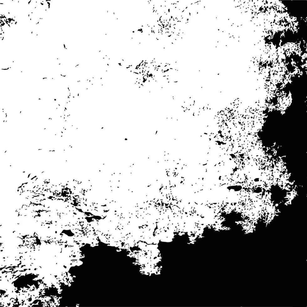 Weathered Grunge Black and White Design vector