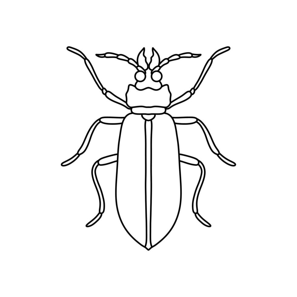 insect bug outline illustration. character from wild nature. Flat cartoon graphic illustration isolated on white background vector