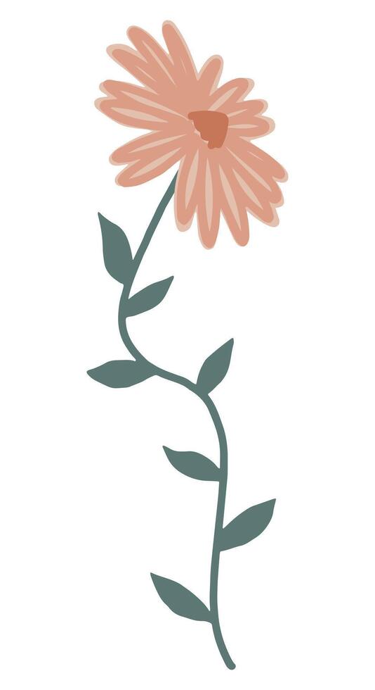 Clipart of simple daisy flower. Hand drawn abstract botanical illustration isolated on white. vector