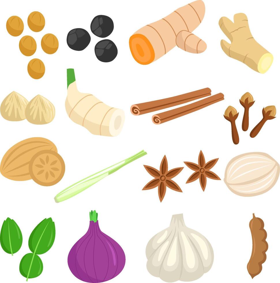 Set of spices herbs and kitchen spices vector