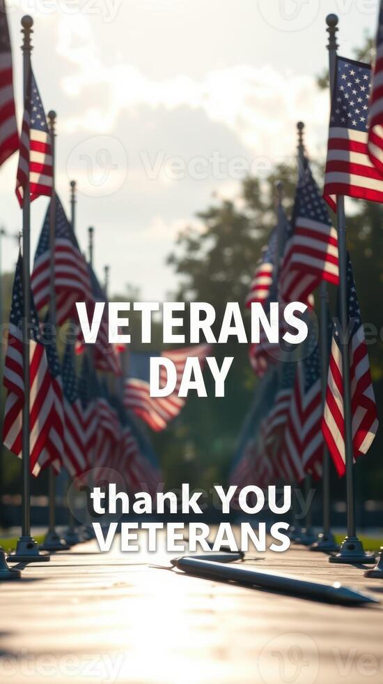 Veterans Day celebration with American flags displayed in a park at sunset honoring those who served photo