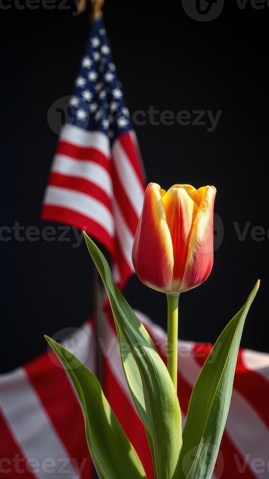 Vibrant tulip in front of an American flag displayed on a dark background during a patriotic celebration photo