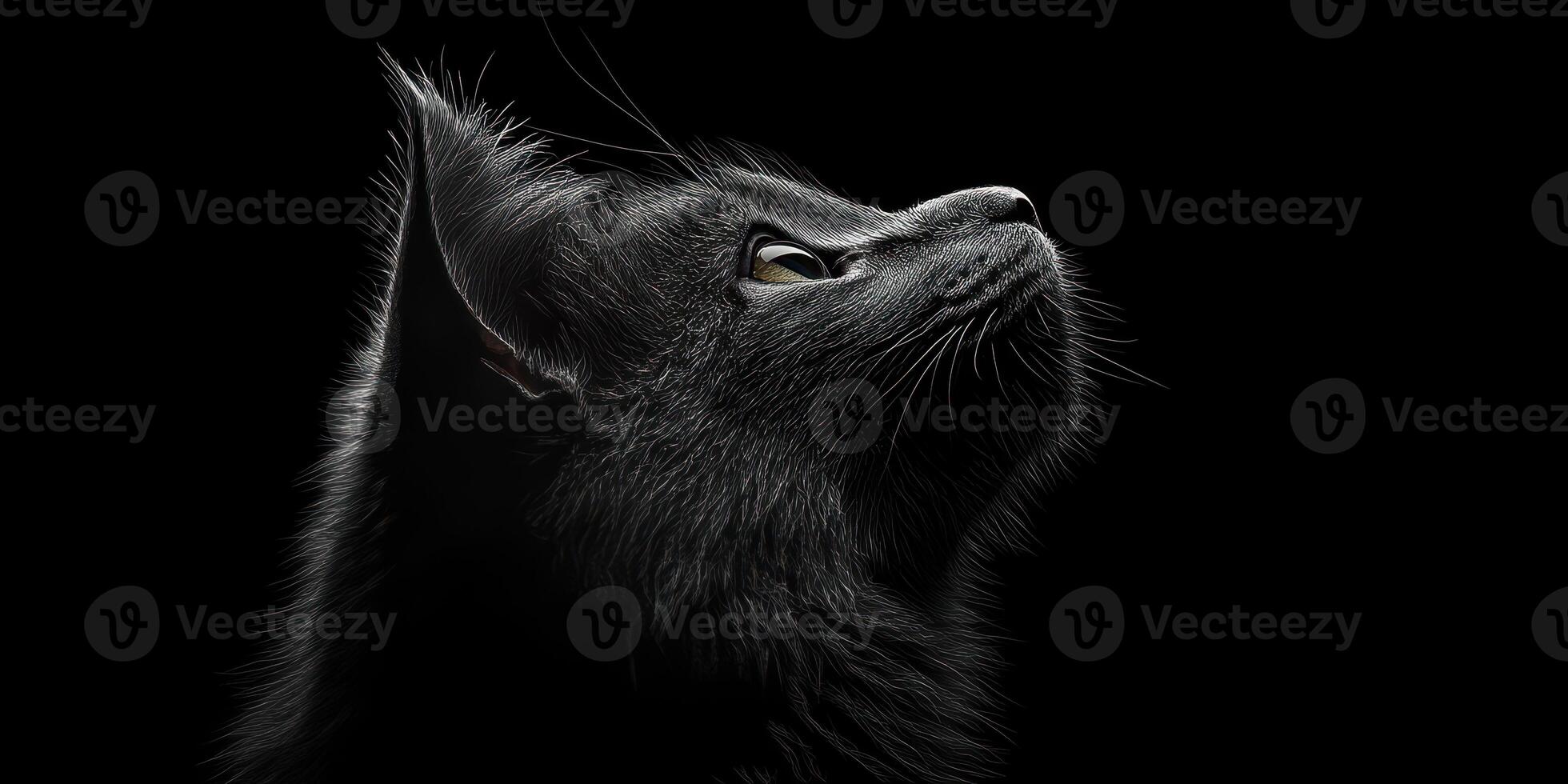Captivating black cat gazing upward in dramatic lighting against a dark background photo