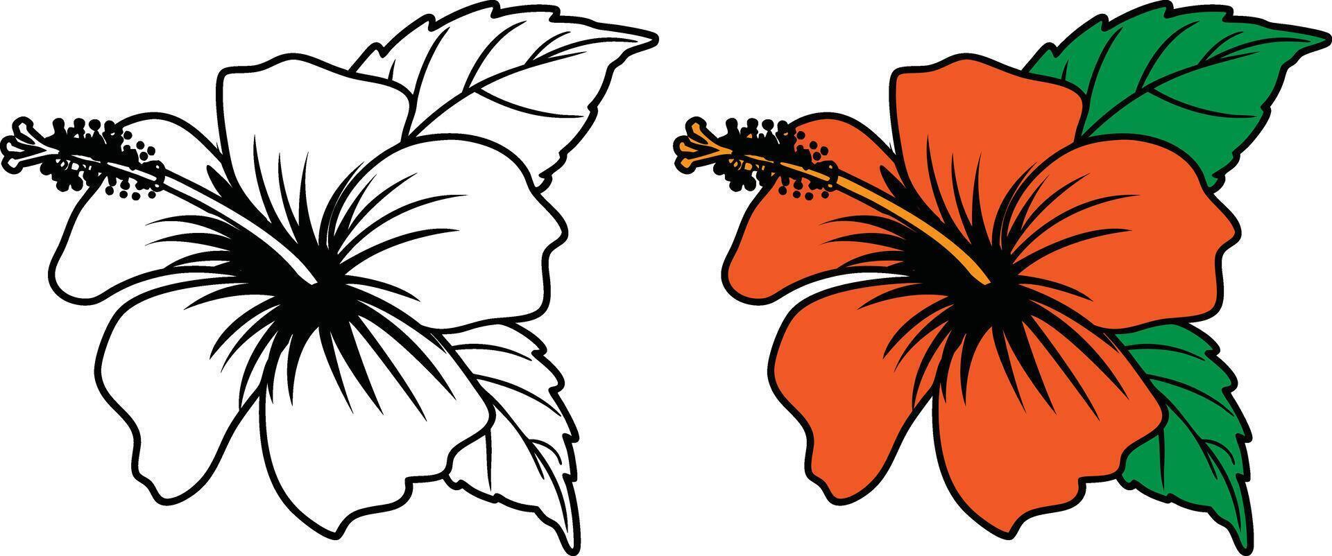 Tropical Hibiscus Flower Illustration Outline And Full Color vector