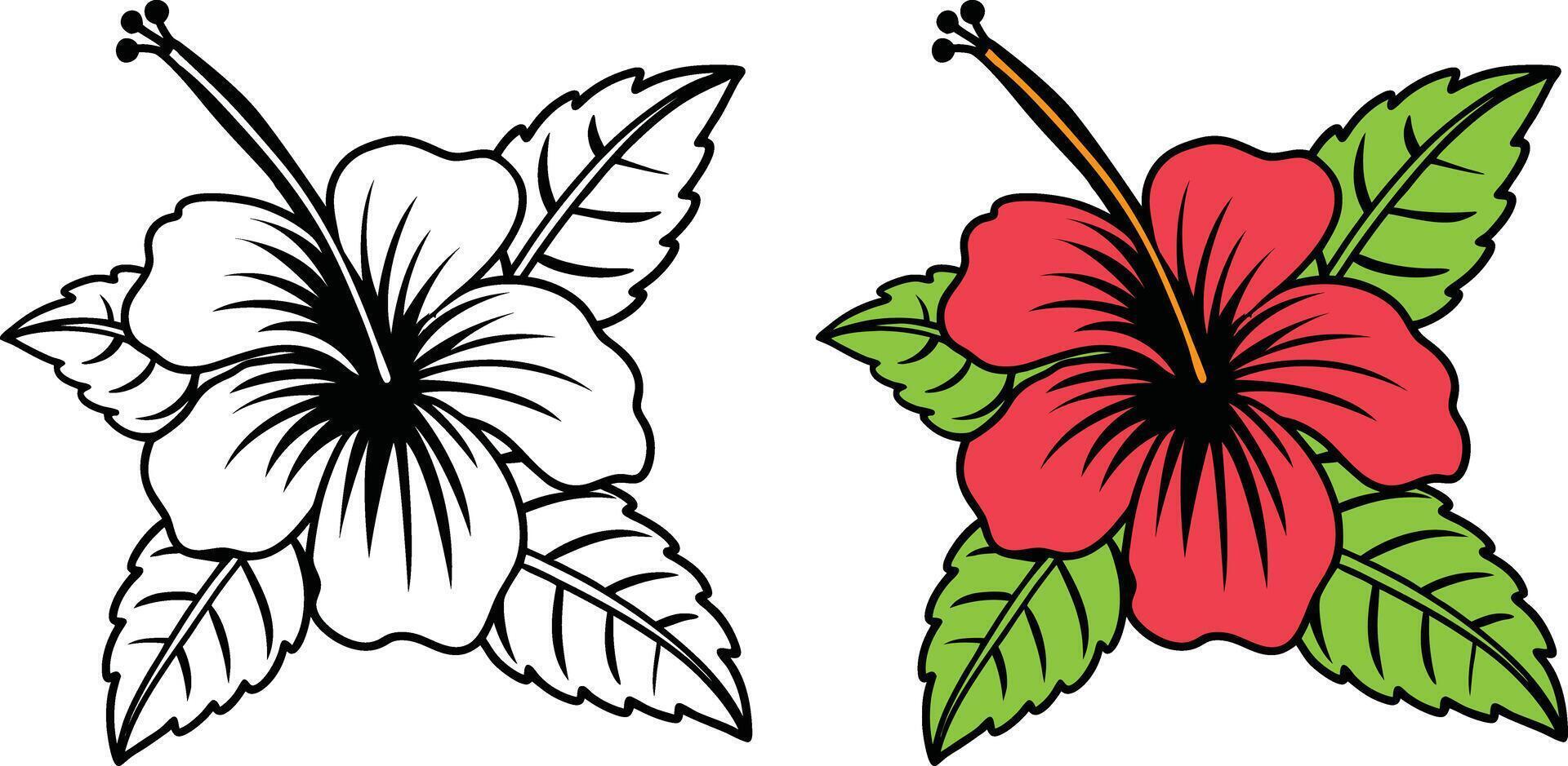 Hibiscus Floral Art Monochrome And Vibrant Version vector